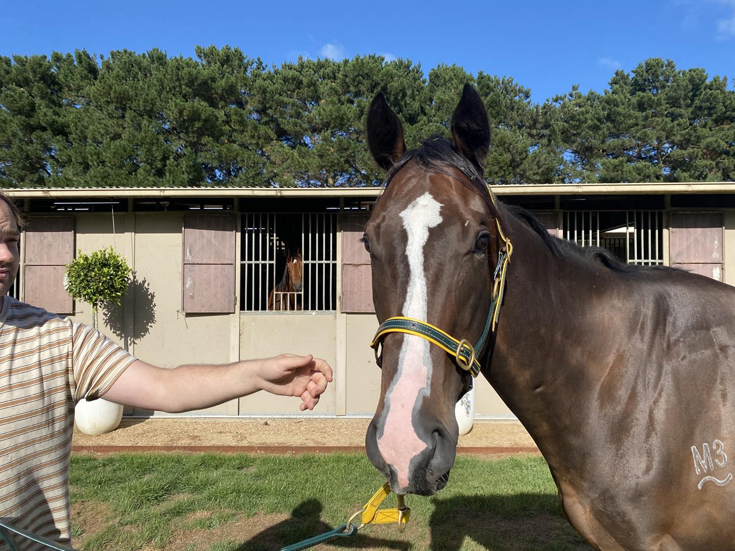 2022 JANUARY (Early) Online Sale | Inglis Digital Online Auctions